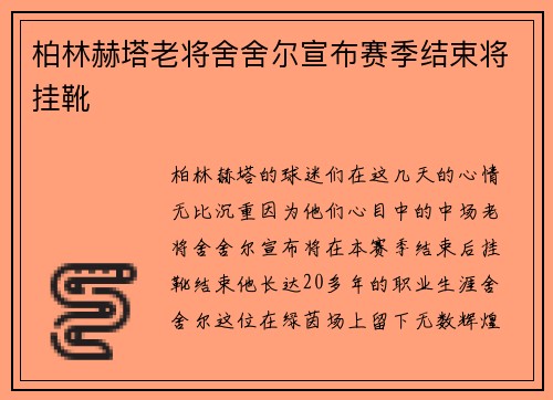柏林赫塔老将舍舍尔宣布赛季结束将挂靴